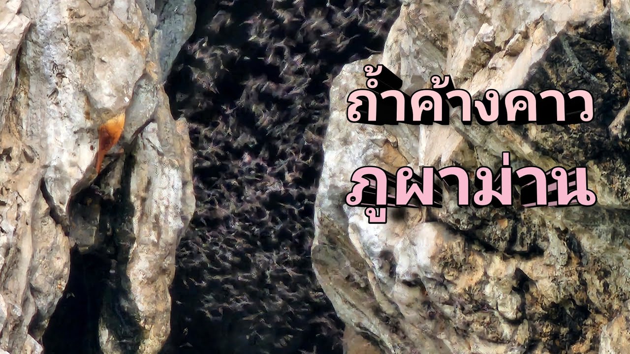 Bat Cave at Phu Pha Man