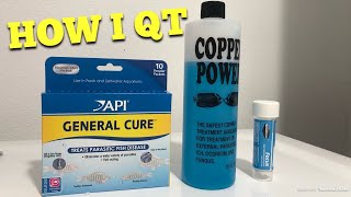 My Qt Setup and What I use