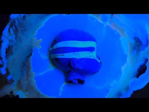 Divisi - Amphetamine