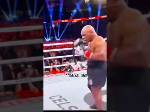 Mike Tyson old wolf 🥊