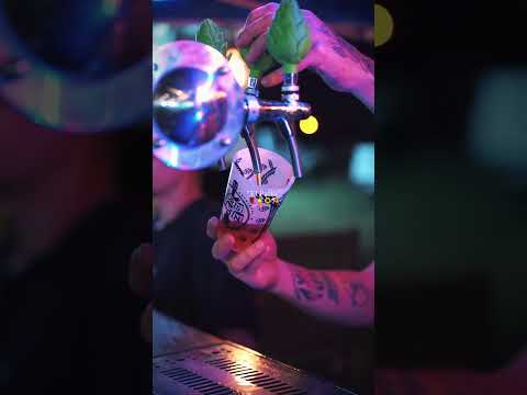 Las noches de este verano son únicas!