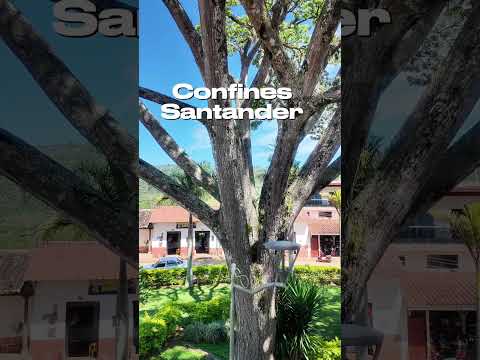 Naturaleza de Confines, Santander 🇨🇴 | Un rincón lleno de vida 🌿 #colombia #turismo #disconnectbga