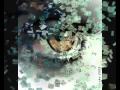 Fear - It's only fear (Pauley Perrette /Stop Making Friends)