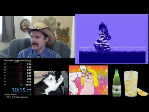 Ninja Gaiden II NES speedrun in 10:15 by Arcus