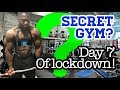 Secret gym? - Rona files - day 7