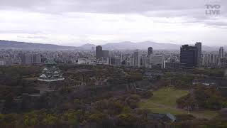 大阪城公園 ライブカメラ