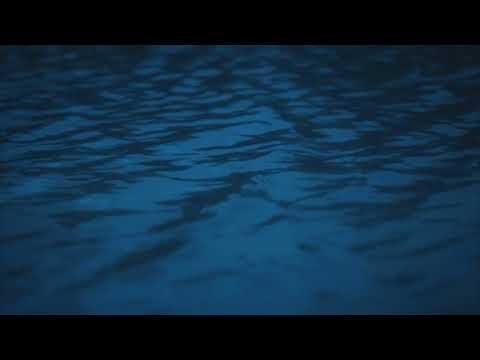 Ion Maovei - Cat ii Jijia de mare