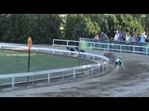 MASTERS SPRINT - DOPPING MICK JAGGER