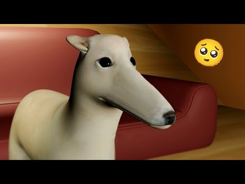 Didn't I do it for you