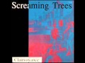 Screaming Trees   Forever