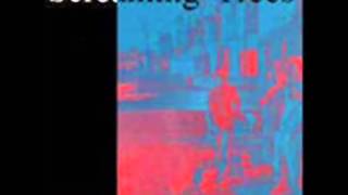 Screaming Trees   Forever