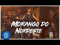 Alexandre Pires Morango Do Nordeste O Baile Do Nêgo Véio Ao Vivo Em Jurerê Clipe Oficial