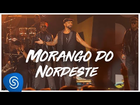 Morango Do Nordeste video