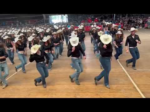 The Young Generation performing FIVE OF A KIND at the Voghera Country Festival 2025