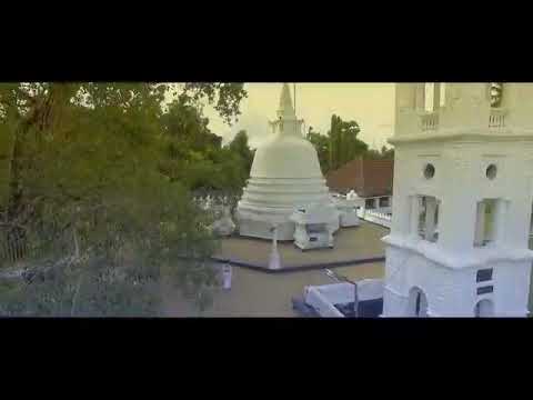 wadimu sri lanka | sinhala song|