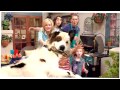 Dog With A Blog Season 1 Opening Theme Song