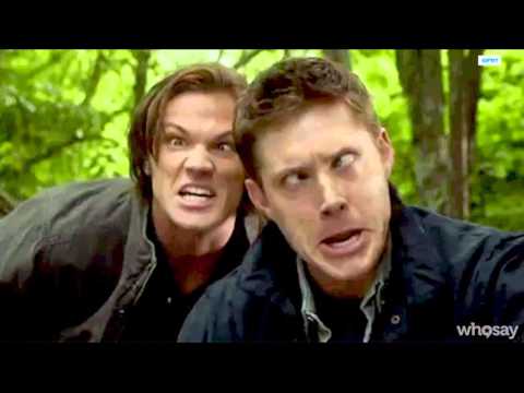 Here's Definitive Proof That Supernatural's Jensen Ackles Is a Flawless Human Being | WHOSAY