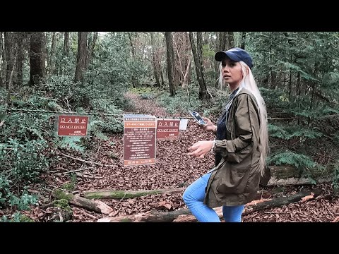 WIR BETRETEN DEN SELBSTMORDWALD AOKIGAHARA 🇯🇵 (UNZENSIERT & UNGESCHNITTEN)