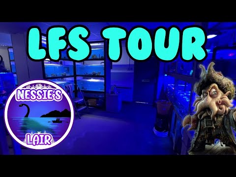 180g Reef Tank - Nessies Lair LFS Tour