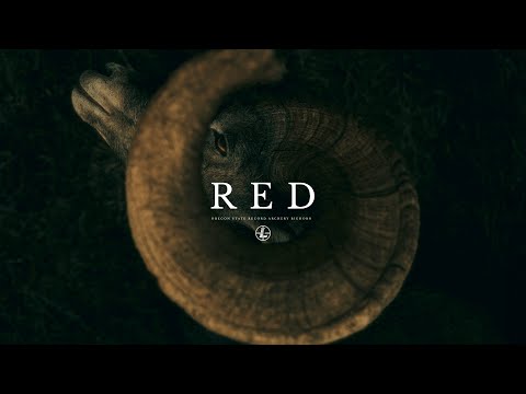 Leupold - "RED" The Oregon State Record Archery Bighorn thumbnail