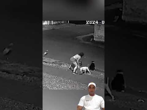 Mujer defendiendo a su mascota de otros perros   #pitbull  #mascotas