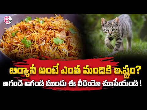 Biryani With Cat's Meat | పిల్లుల మాం_సంతో బిర్యాని |  Latest News Updates | Suman TV Information