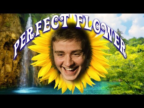 N0tail - A Perfect Flower