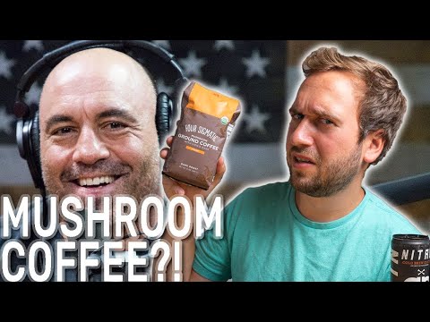 Mushroom Coffee?! Joe Rogan's Favorite Coffee Tried By An Expert
