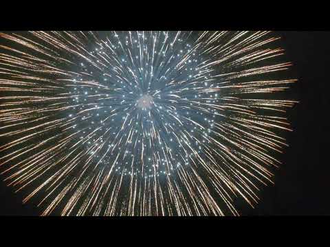 16 INCH SHELL KAMURO TO BLINKER + BLINKER PISTIL DEL VICARIO