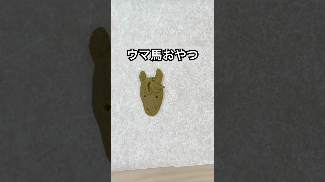 馬を食すハムスターがやば過ぎた！ #ペット #hamster