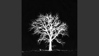 Pans (feat. Quentin Miller &amp; Thecoolismac)