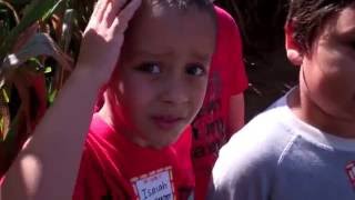 Mrs. Ferris's Hall Fletcher Kindergarten Visits an Apple Orchard