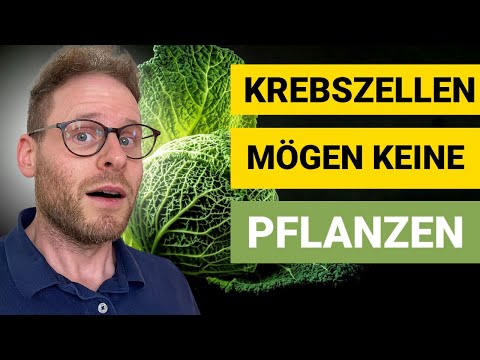 Pflanzen Power - Nachgewiesenes Mittel gegen Tumor und Krebs
