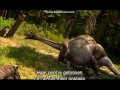 Alpha S Egg Death Of A Saltasaur