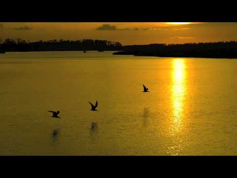 Lang & Yep feat. Manon Polare - Nevertheless (Original Mix) HQ