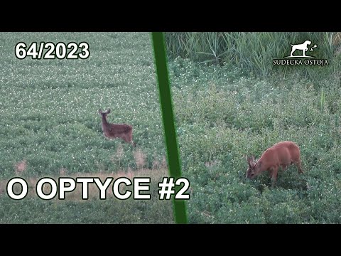 SUDECKA OSTOJA 64/2023. O optyce #2. Polowanie na jelenie. Deer hirsch chasse au cerf Hunting Hunt
