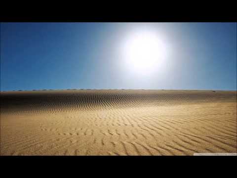 Shady Desert Sun
