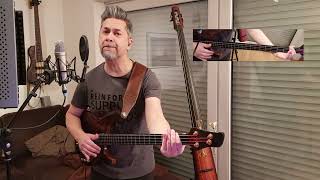 Level42 - You can&#39;t blame Louis (Bass &amp; Lead Vocals Cover / Play along)