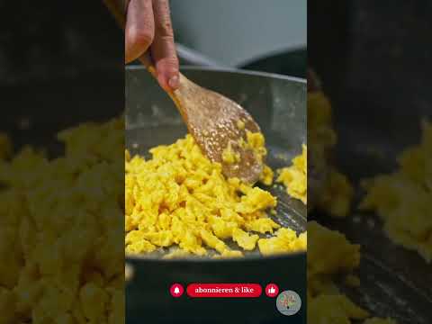 Was fressen Igel wirklich? Der Experten-Guide für Notfall und Naturgarten