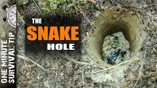 The Snake Hole - one minute survival tip