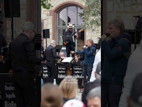 Frühlingsfest Ingelheim – Impressionen aus Rheinhessen