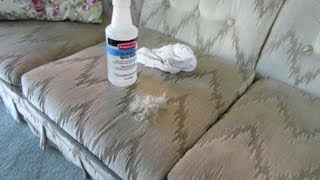 13 09 23 How to get cat fur off of your couch and carpet