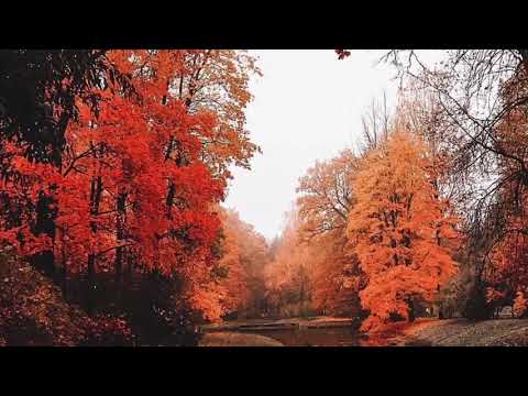 Isaiah’s Apocalypse #28 Pastor Ric Vargas [AUDIO]