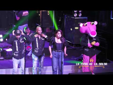 ENGREIDO Y MAL AMANTE - Orquesta ZAPEROKO La Resistencia Salsera del Callao