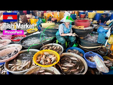 Morning Rush! Cambodia’s Largest Fish Market & Busy Fish Distribution