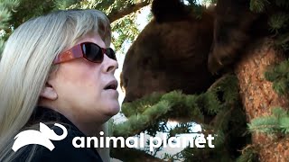 Thumbnail del capítulo