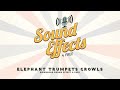 Elephant Trumpets Growls Sound Effect 1