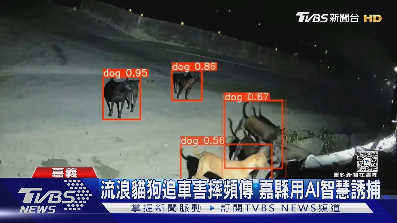 流浪貓狗追車害摔頻傳！ 嘉縣府用AI智慧誘捕見效