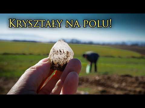 Dolny Śląsk – Gdzie szukać kryształów górskich? Pole w Jegłowej