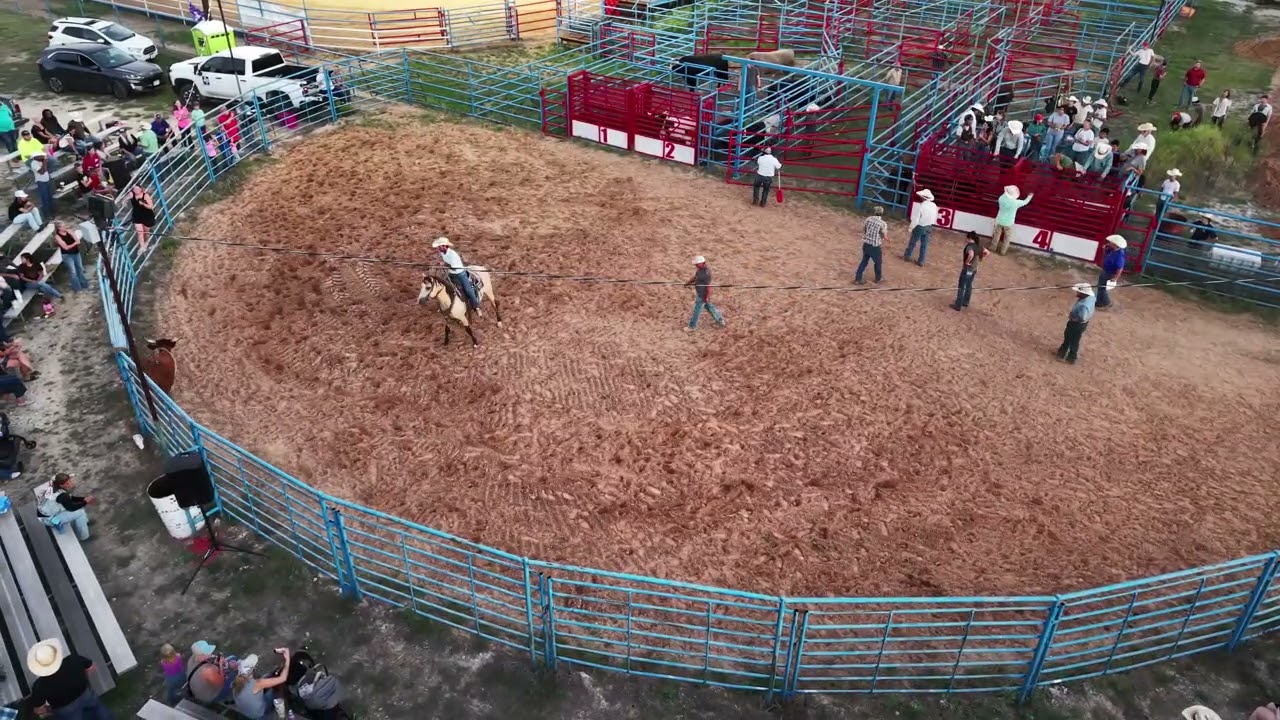 Bull Riding 3